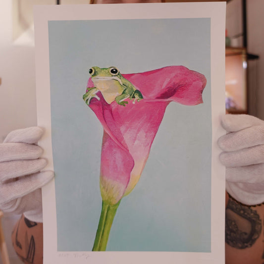 Limited edition Frog in a Flower fine art print on textured Hahnemühle paper.